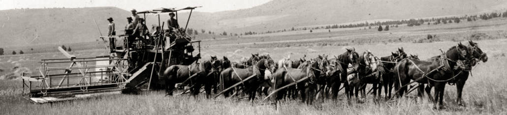 Ochoco Irrigation District | Home